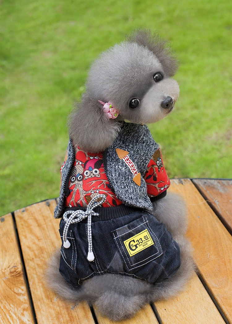 金冠宝贝批发秋冬四脚衣泰迪衣服宠物衣服假二件套狗狗衣服