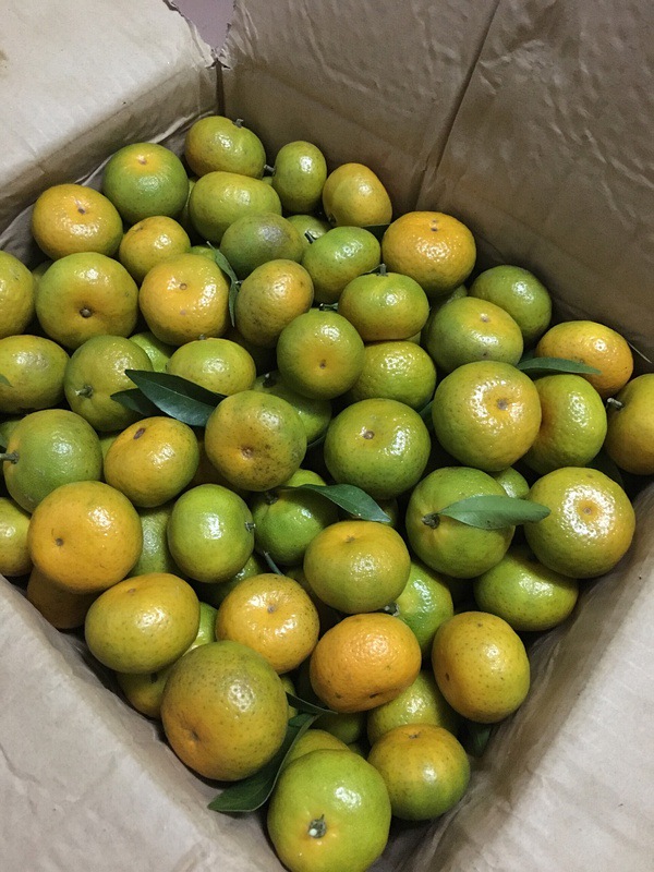 一箱橘子让我觉得这个世界充满爱