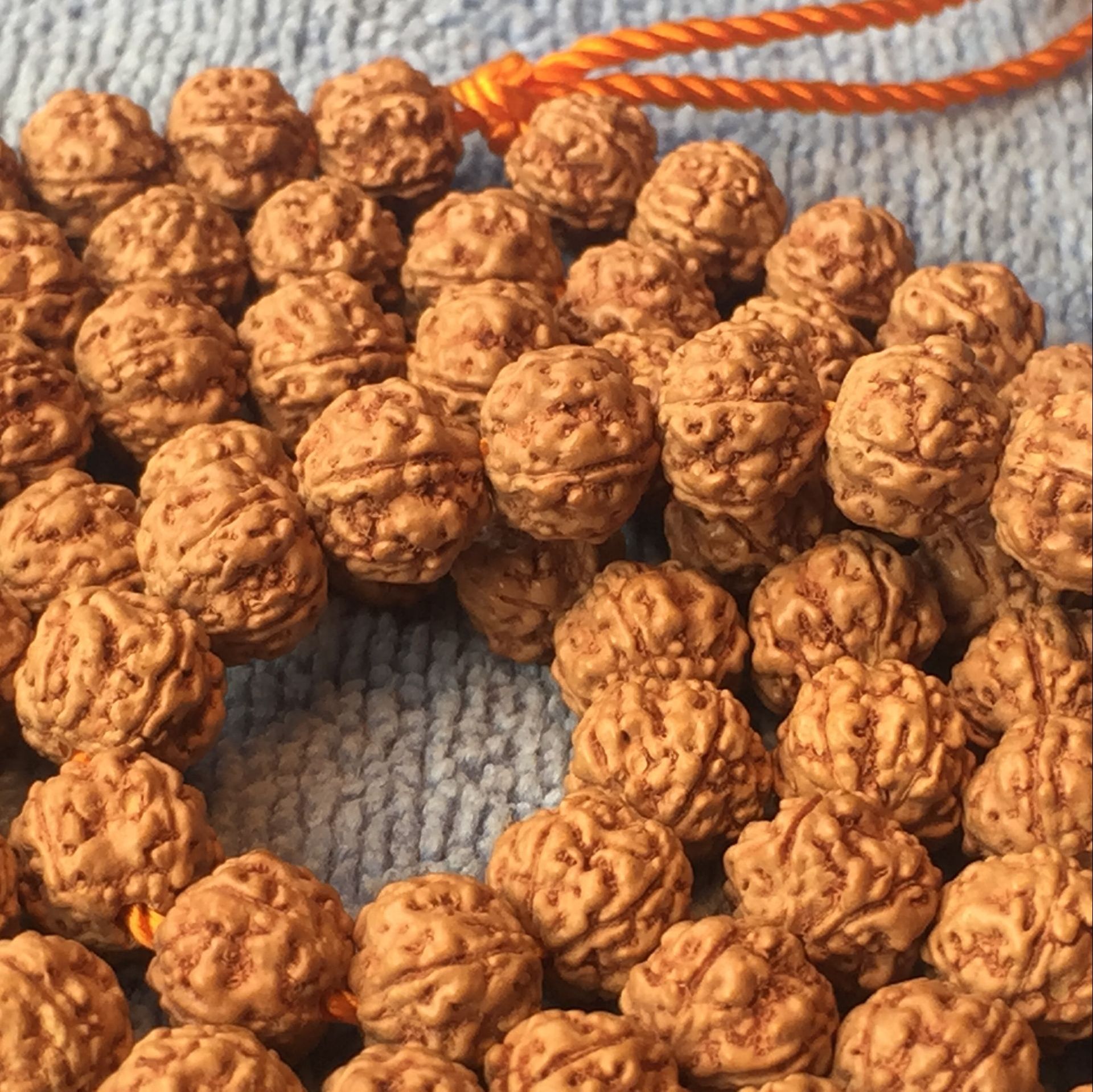 印尼精品:五瓣8mm黄金皮闷墩满爆肉,桩高6mm 密度高 肉度饱满