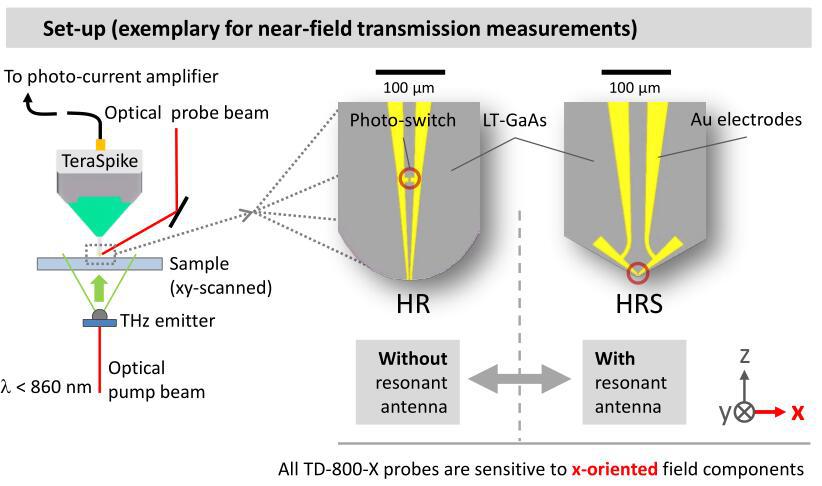 测试探针的酶切性能_限制性内切酶酶切_酶切电泳图