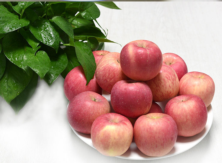 山东烟台国光苹果5斤包邮 烟台农家自产苹果水果批发