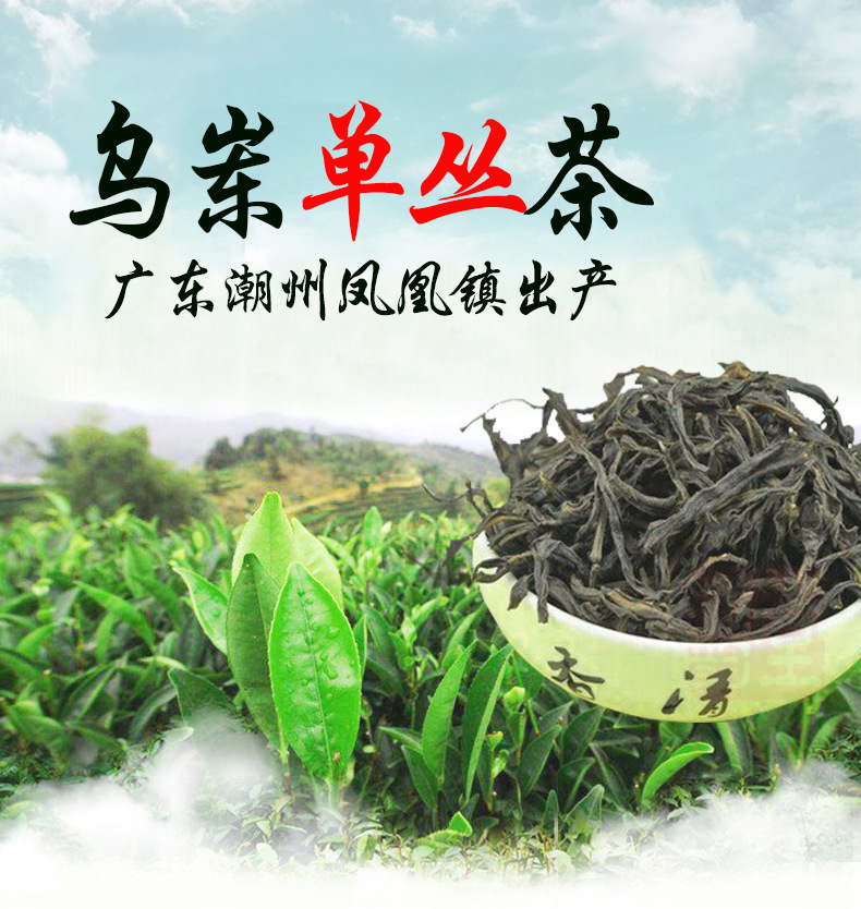 2016春茶饶平单枞茶蜜兰香浓香型凤凰单丛岭头单从茶叶白叶乌龙茶