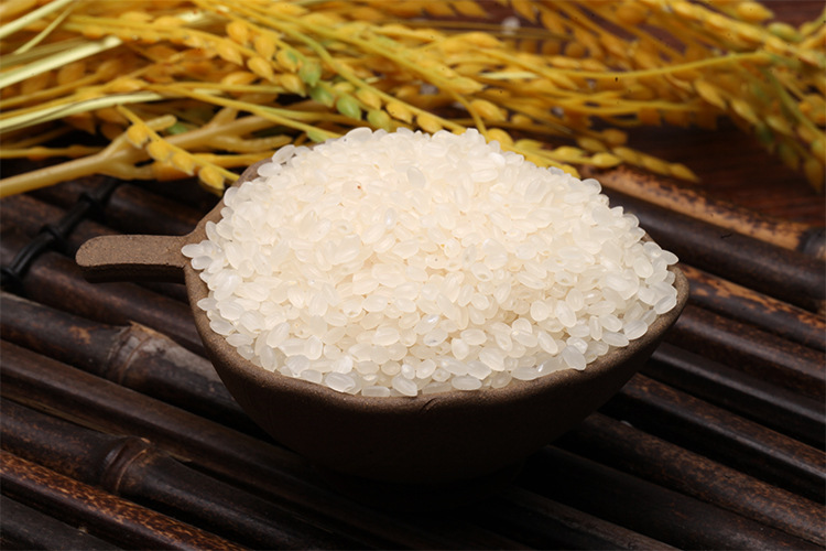 松花江秋田小町米 吉林特产煮饭煲粥香糯小粒稻米批发招商加盟