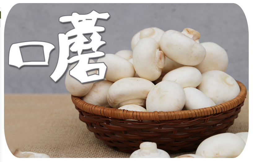 种类 鲜蘑菇
