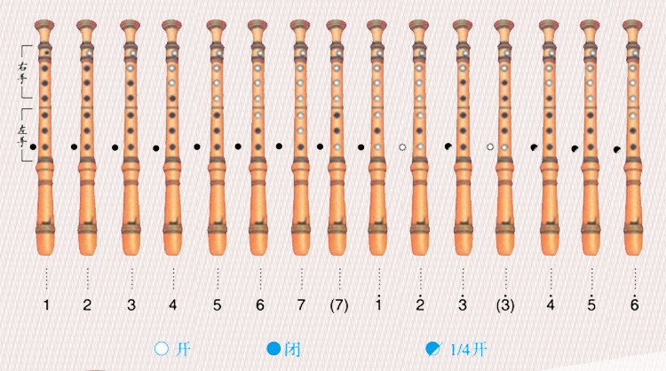 奇美小状元8孔竖笛儿童小学生初学入门竖笛音乐玩具笛子