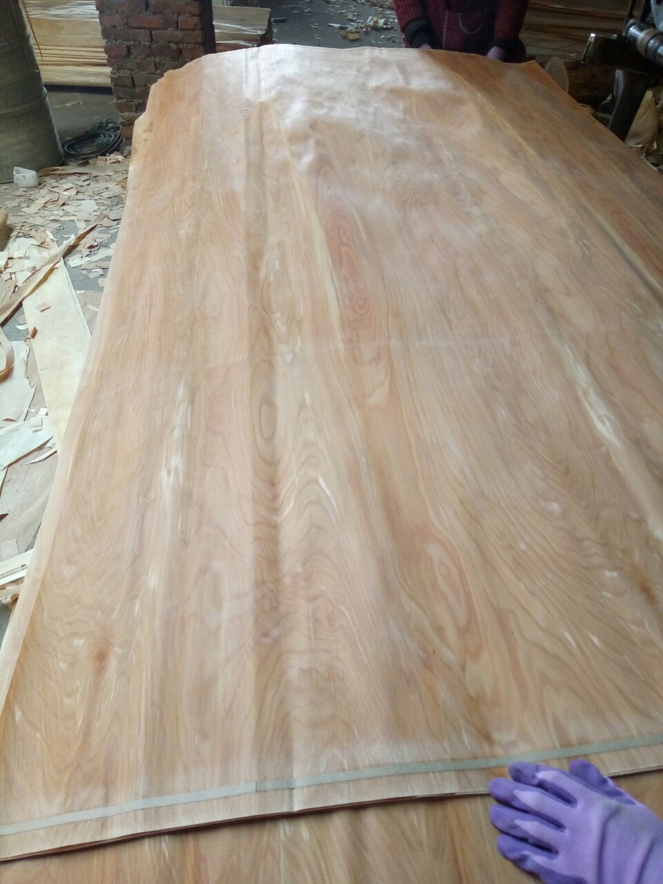 桦木木皮,单板各种级别!