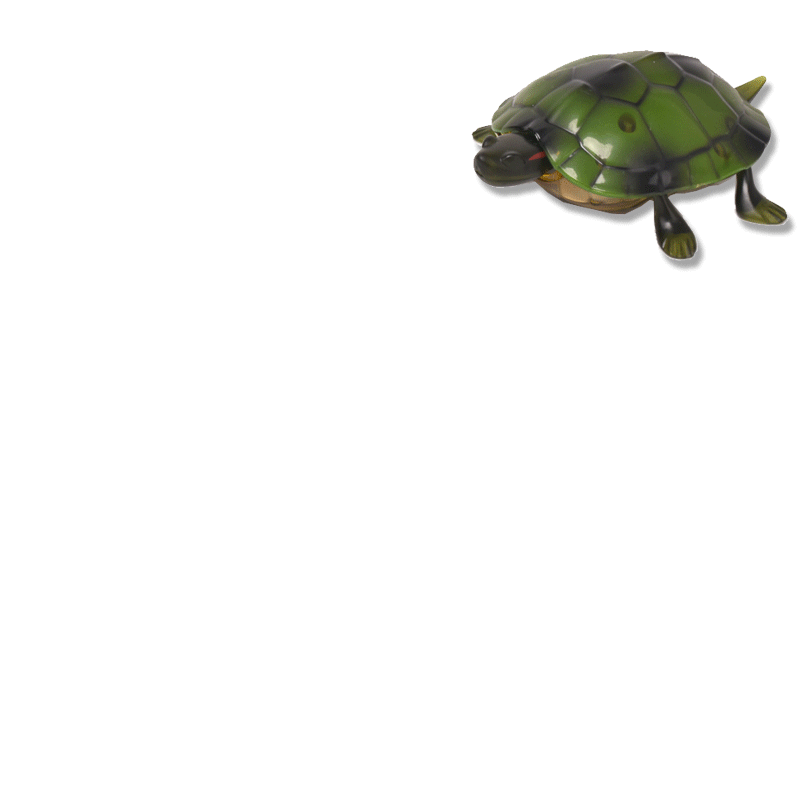 新奇特9993遥控乌龟 红外线仿真爬行动物带灯儿童模型早教玩具