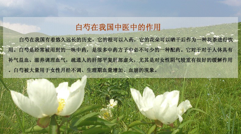 瑞泰堂批发中药材白芍白芍片白芍药芍药炒白芍打粉