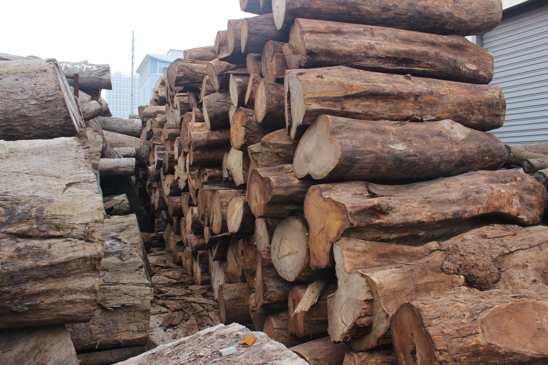 【申梓】供应亚花梨原木板材 直销优质梨木木材 防腐木材批发