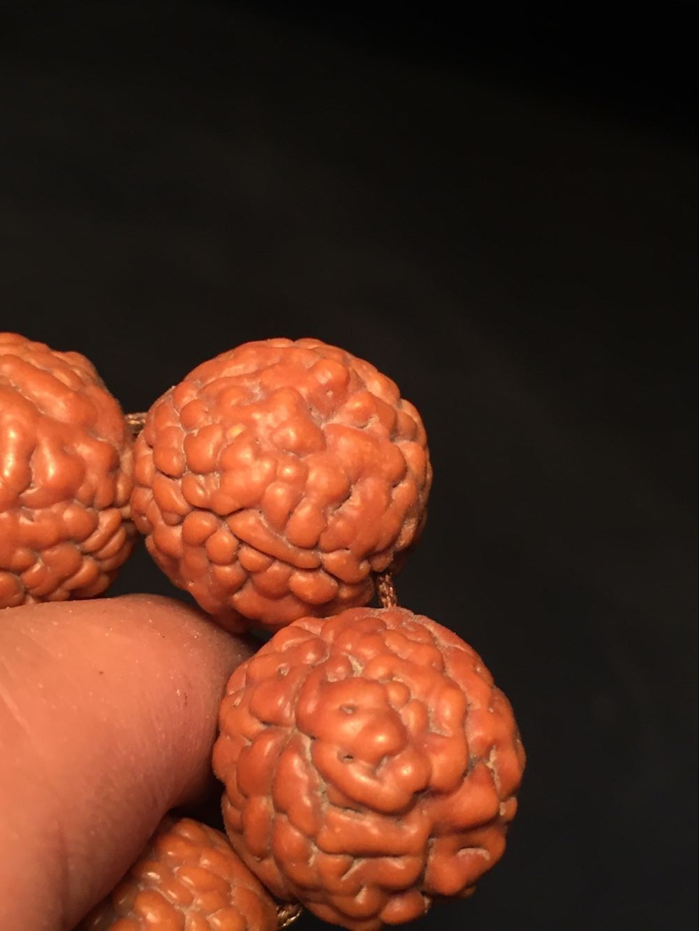 神品三瓣金刚菩提子 红皮爆肉脑纹矮桩龙鳞纹金刚 一件代发招代理