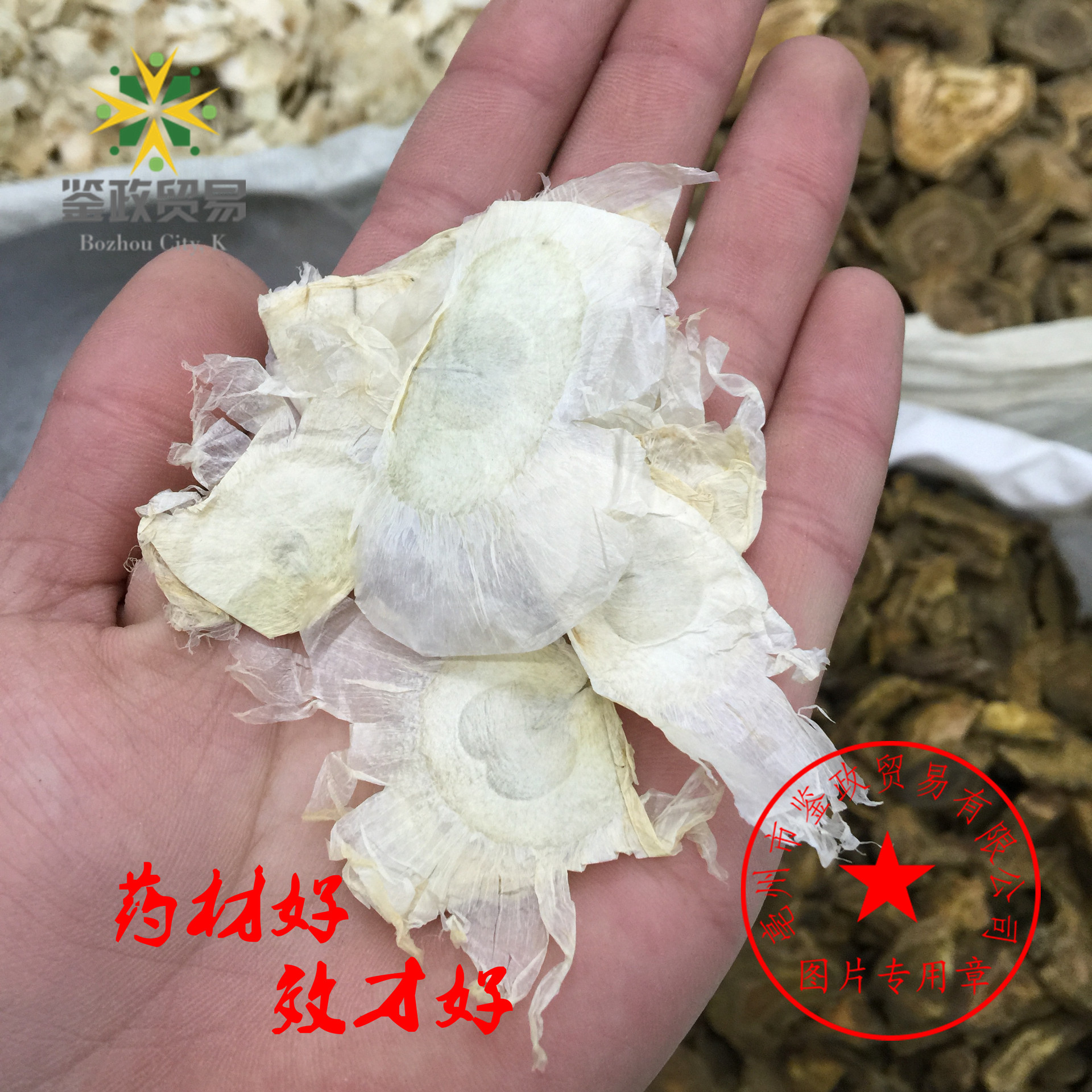 批发优质花草茶 玉蝴蝶 千张纸 木蝴蝶 四季常用 量大从优
