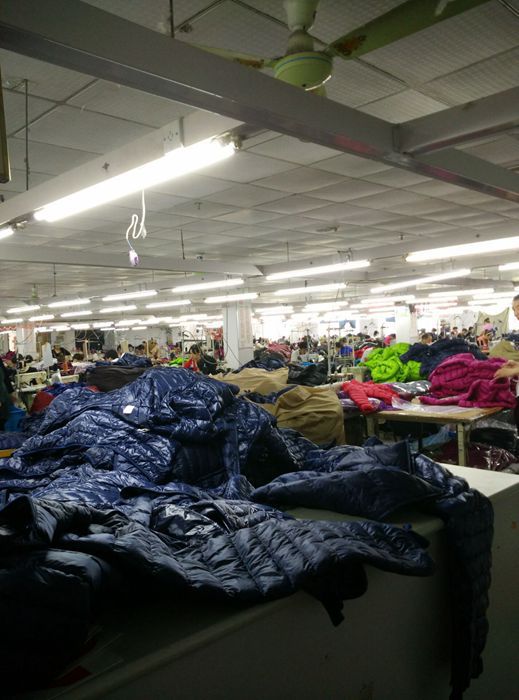 16秋冬新款轻薄型羽绒服短款女士修身立领外套90%分格冲绒.