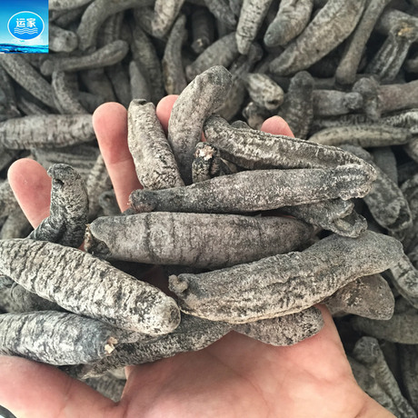 香皮参中东香皮参香参批发海参全国干货批发 淡干肉厚不麻30头