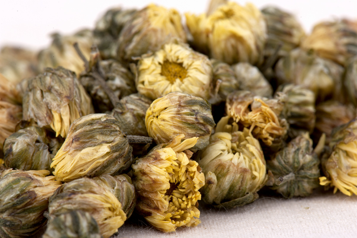 浙江桐乡特级胎菊王批发花草茶干无硫胎菊花50g罐装花草茶