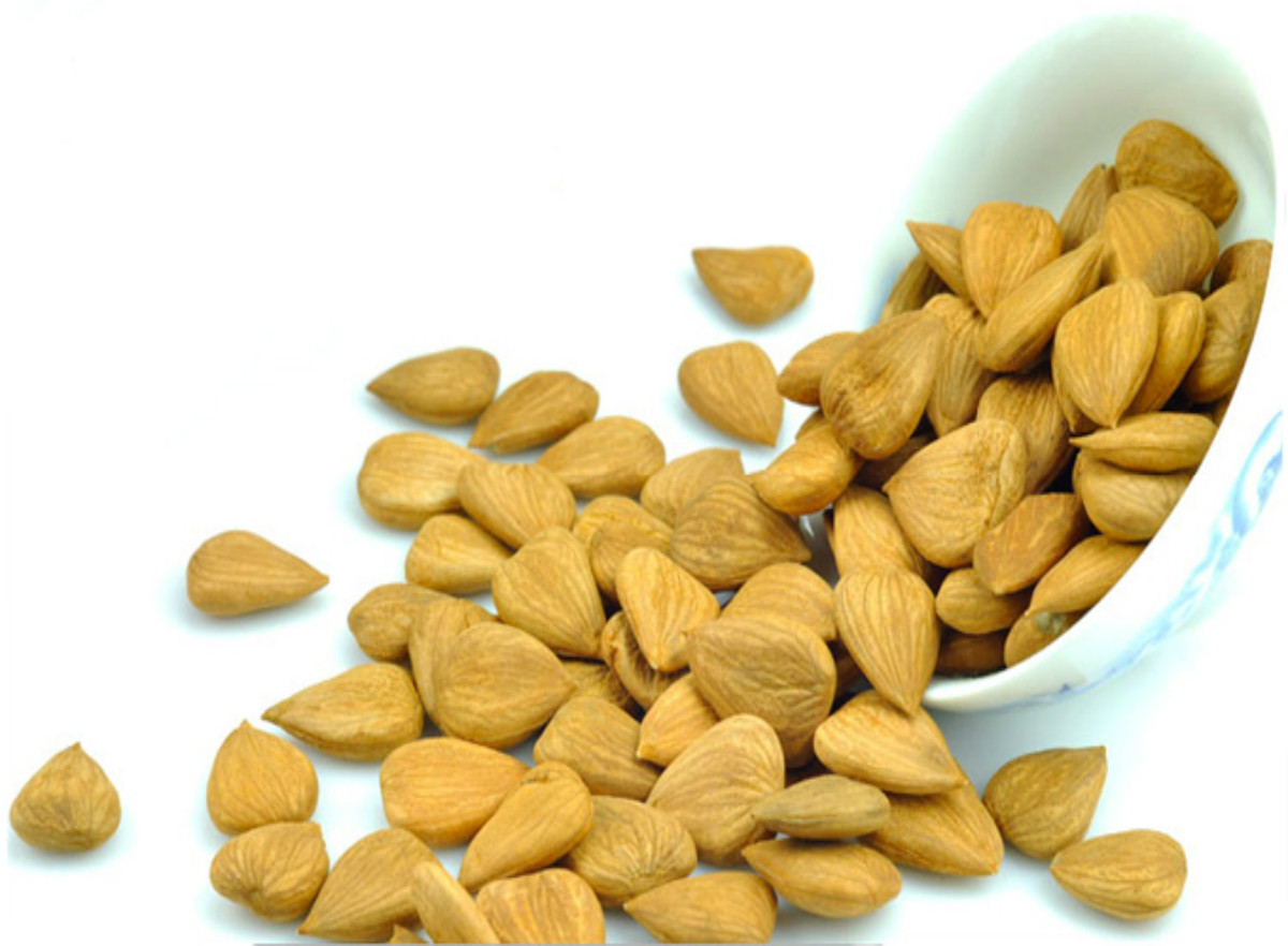 北杏仁 带皮杏仁 苦杏仁生杏仁批发药食同源坚果散装深圳干果粉