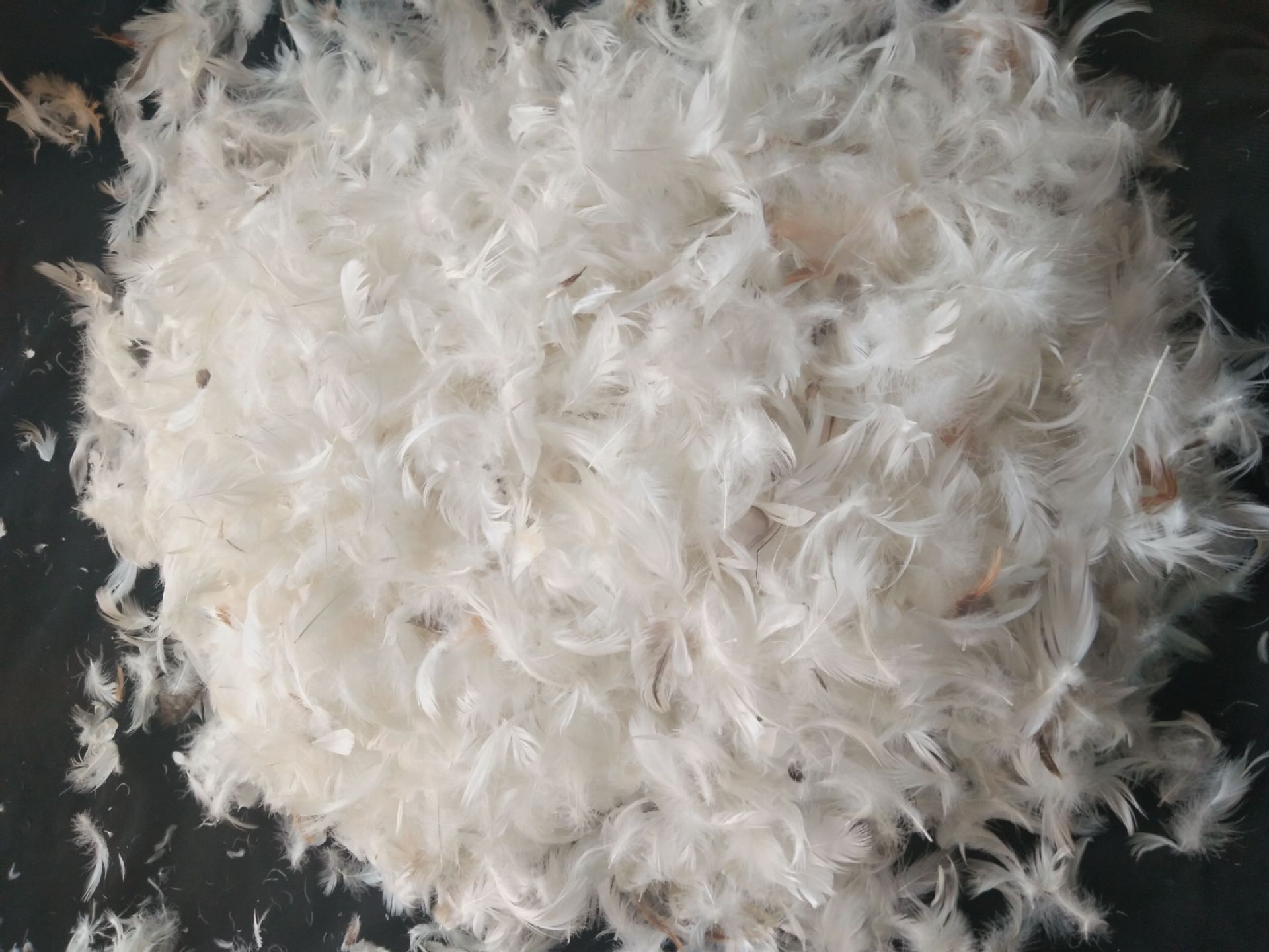 荐 家具抱枕填充水洗白鸭毛 抱枕填充灰鹅毛 沙发靠背填充鸭.