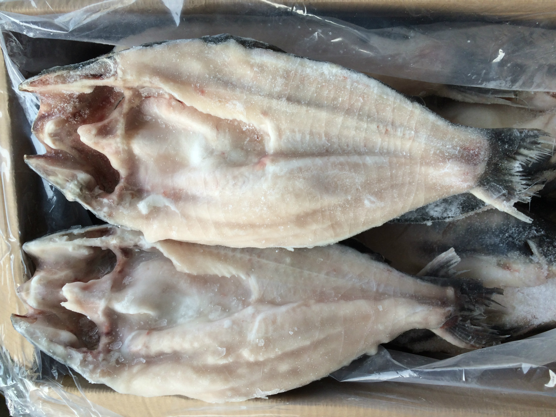 越南进口腌制巴沙鱼冷冻开背鱼湄公鱼毛重12kg*16条（700-800）-阿里巴巴