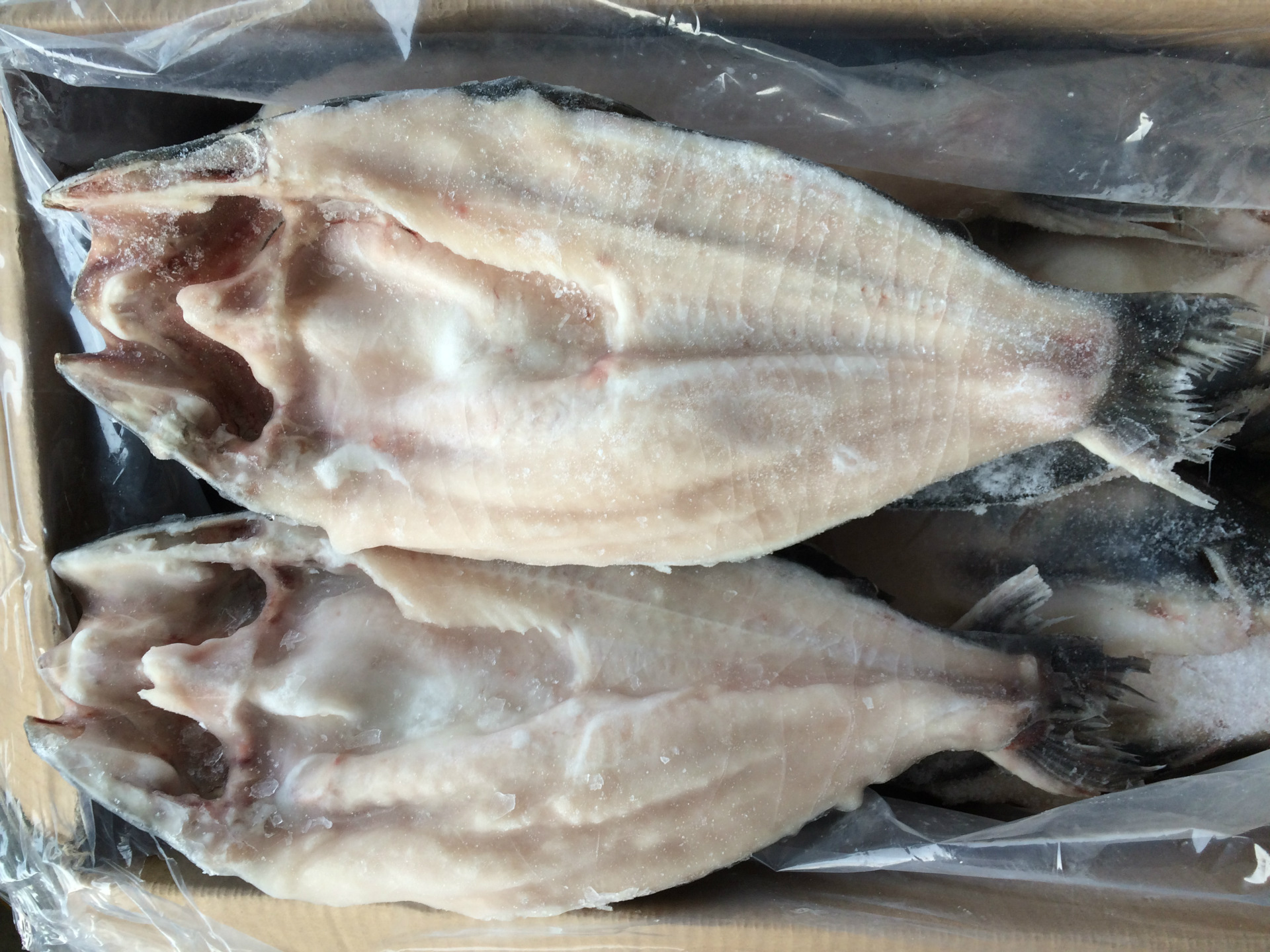冷冻水产品 湄公河 开背鱼湄公鱼 腌制成品巴沙鱼 专供烤鱼连锁店