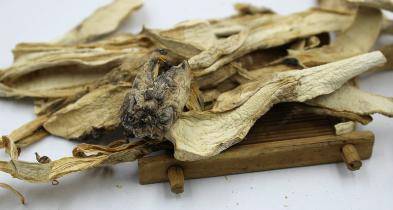 福建土特产 鸡腿菇长腿菇白菇无硫合作社种植干货鸡腿菇 散装批发