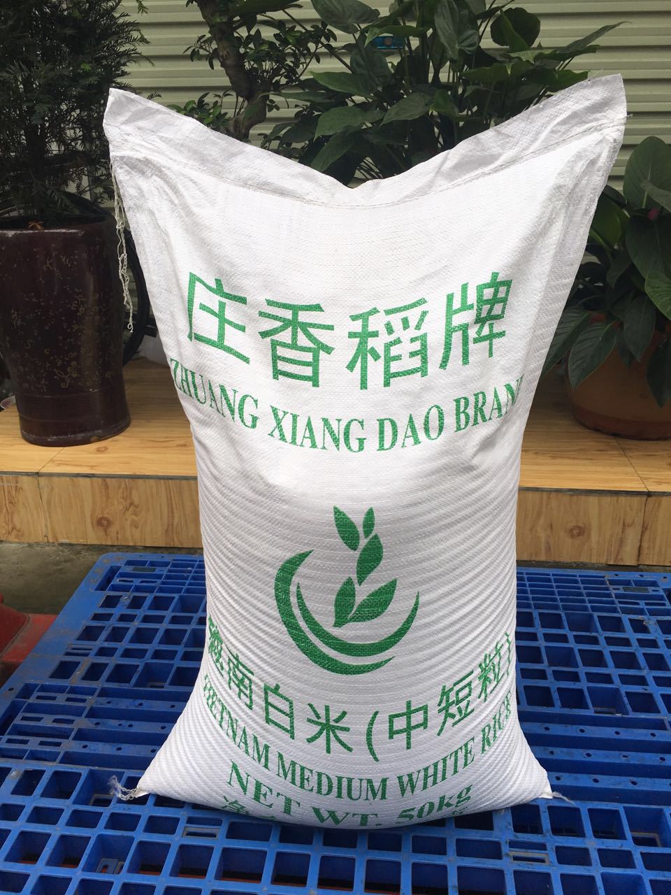 庄香稻牌越南白米(中短粒)越南大米50kg肠粉米