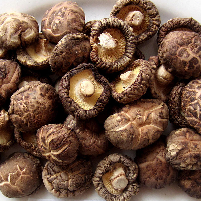 雪峰源湖南特产野生干枞菌杂菌菇蘑菇菌类干货100g干菌子山菌枞菌