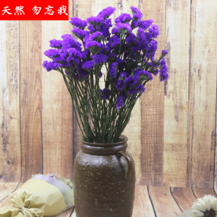 勿忘我干花 风干花 天然风干 一束干重180克以上 a级花