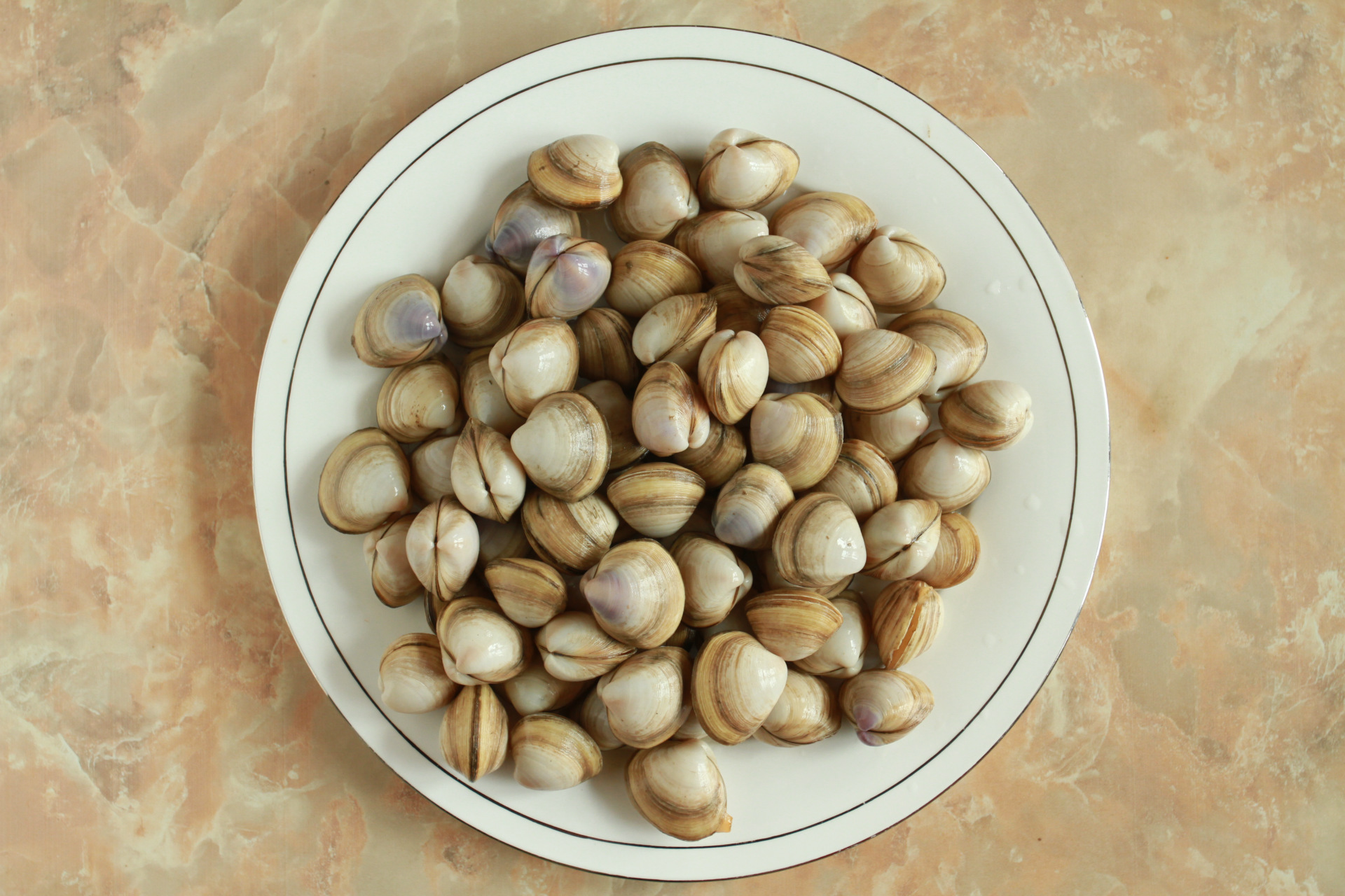 产品参数 品牌: 产商: 产地: 图文详情 品种 蛤蜊 品牌 海前水产市场