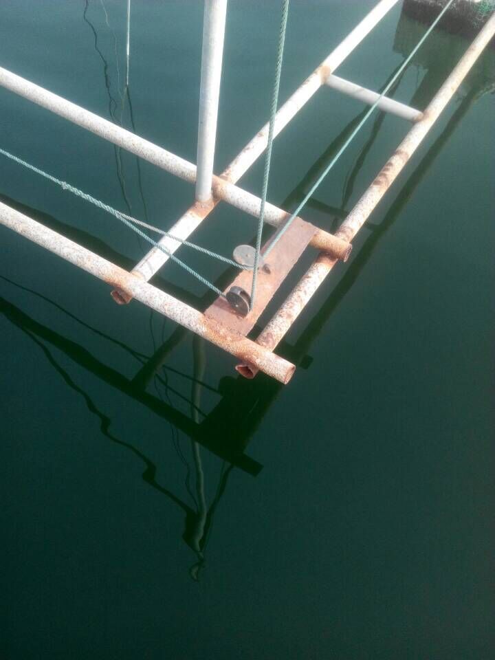 灯光抬网 - 渔具批发网