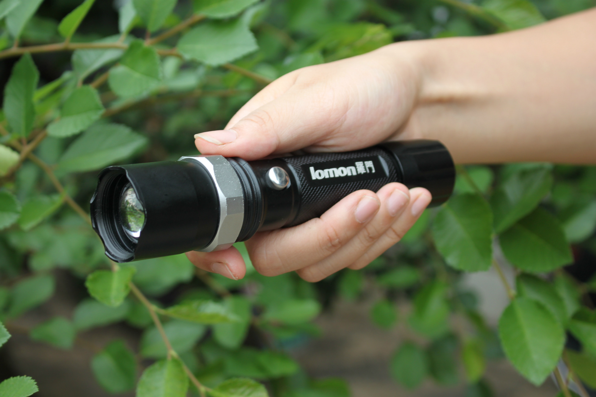 手电筒看见了什么