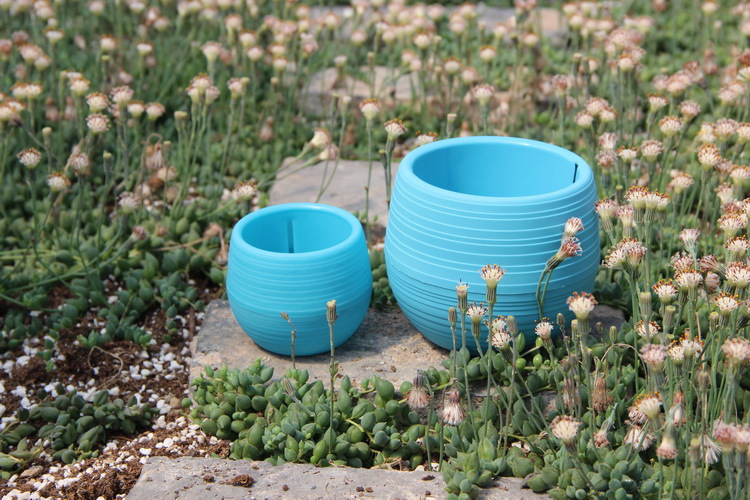 网纹草盆大号石丸盆彩虹盆拇指多肉盆自吸水花盆懒