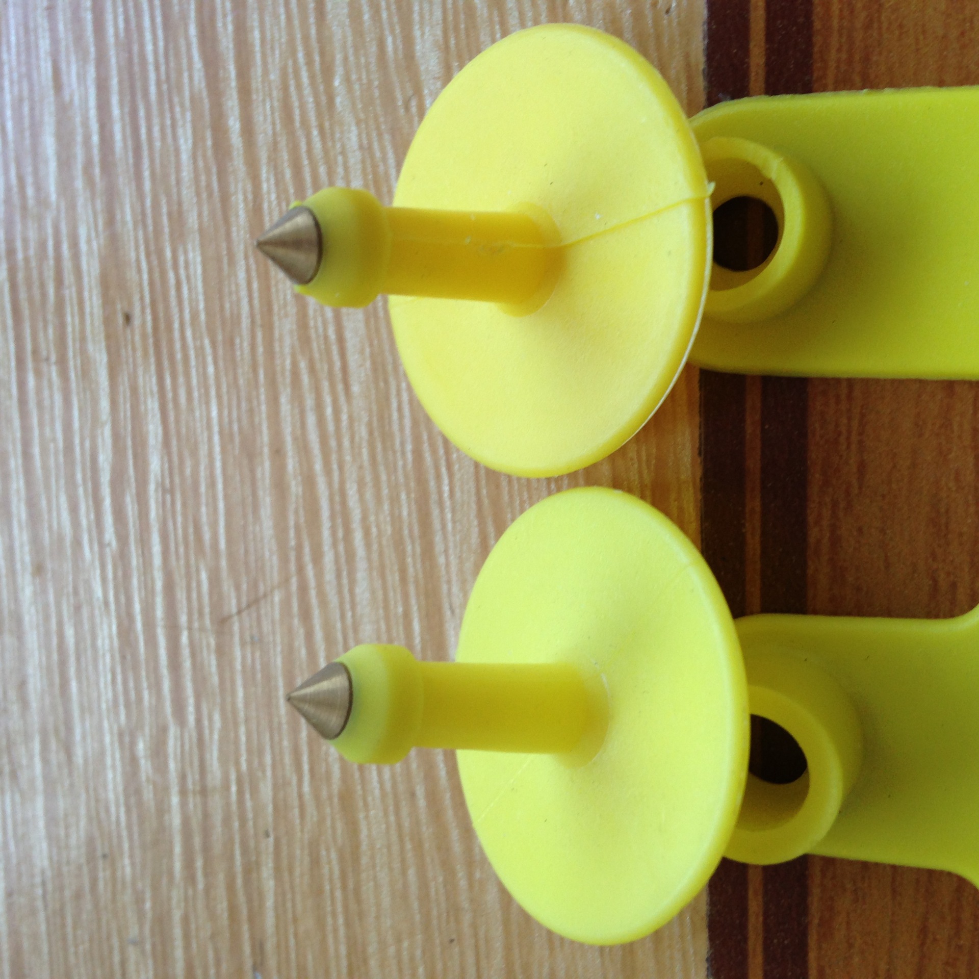 供应牛耳标 牛耳号 牛耳牌 牛带字耳牌 小牛耳标牌 激光打印