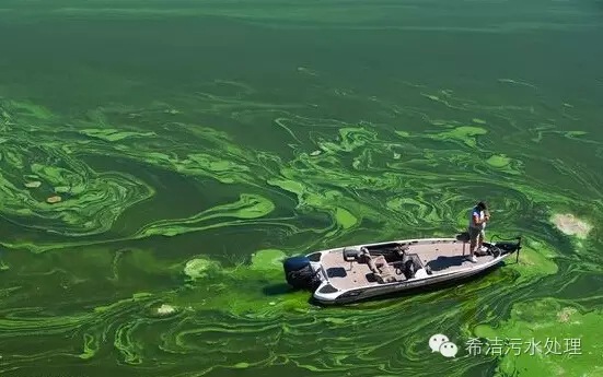 含磷废水处理方法