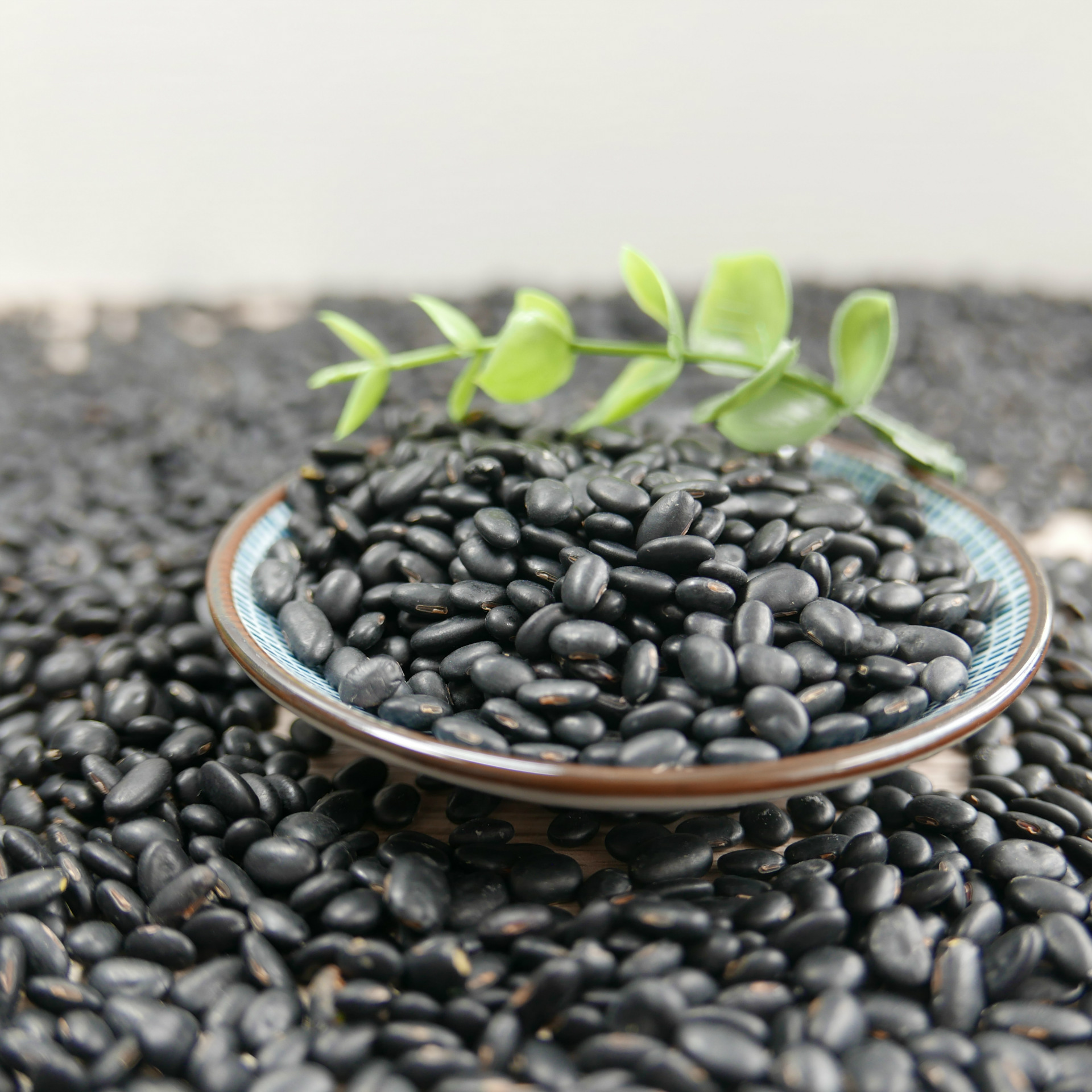 【阿里巴巴**】各种精选 小扁黑豆(2.6-4.0长孔)