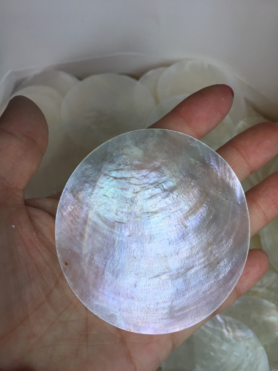 贝壳diy50mm无孔镜贝材料装修贝壳配件批发