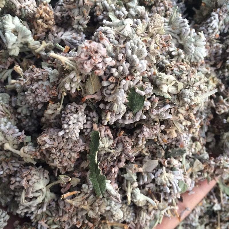 江湖地摊密蒙花茶 展销会 百花草益寿茶送全套广告