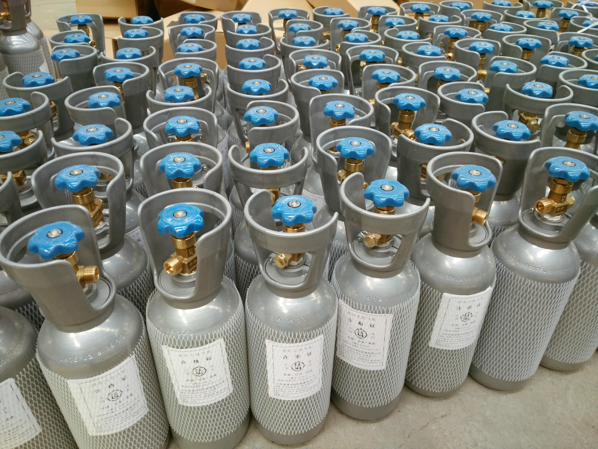【山东建设】2升4升8升co2钢瓶空瓶二氧化碳气瓶专注水草造景水族