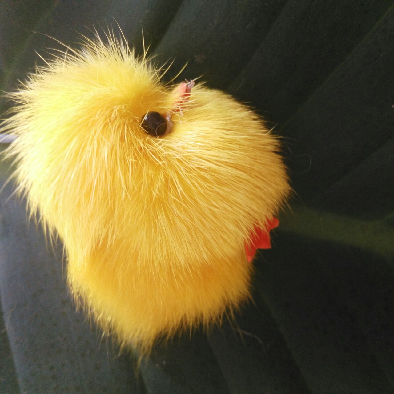 迷你版带尾巴小鸡手机链真毛皮草精品挂件婚庆赠送礼品批发