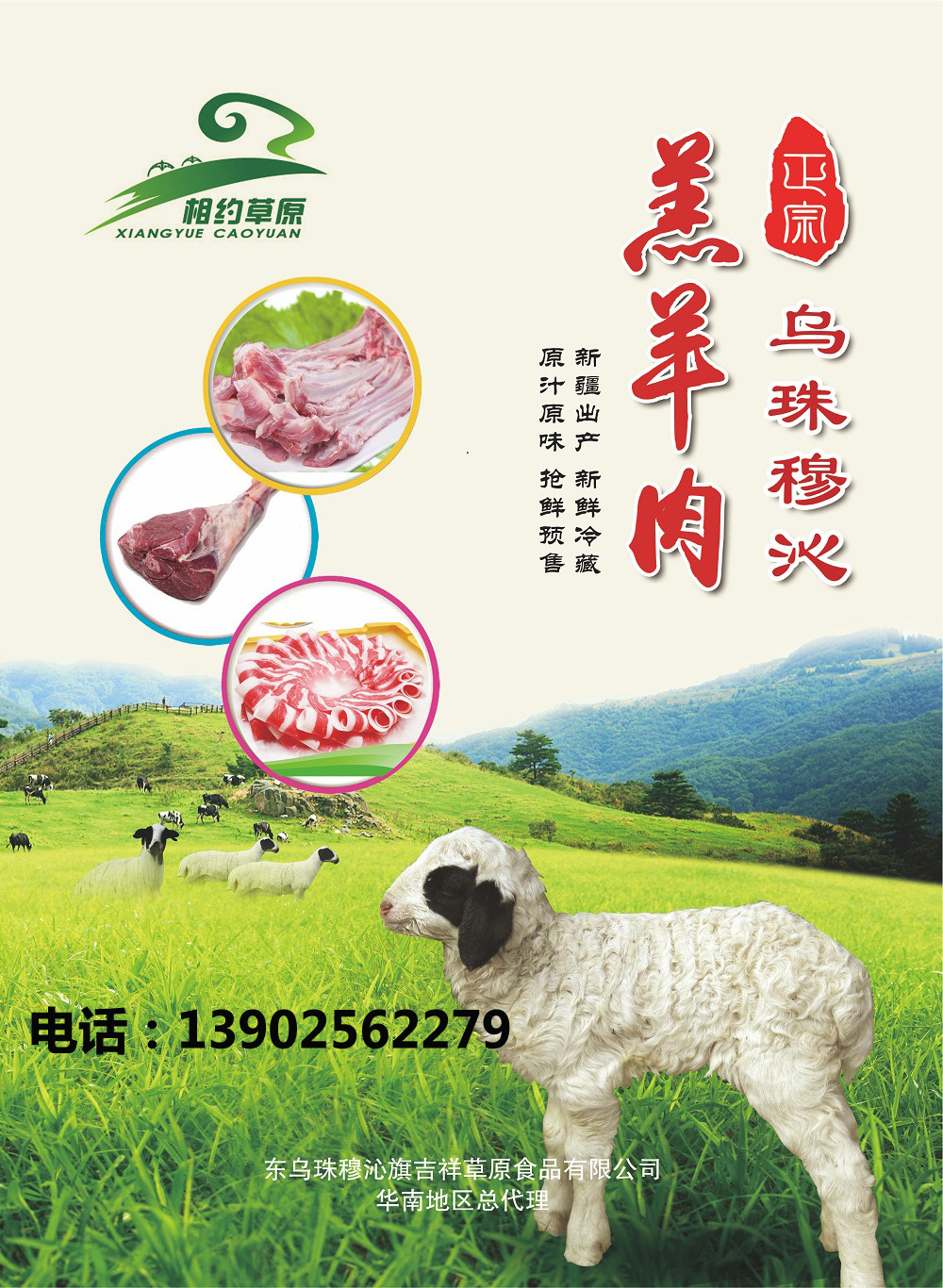 羊肉卷批发|羊排|羊肉片|内蒙冷冻羊肉 厂家直销 品质保障
