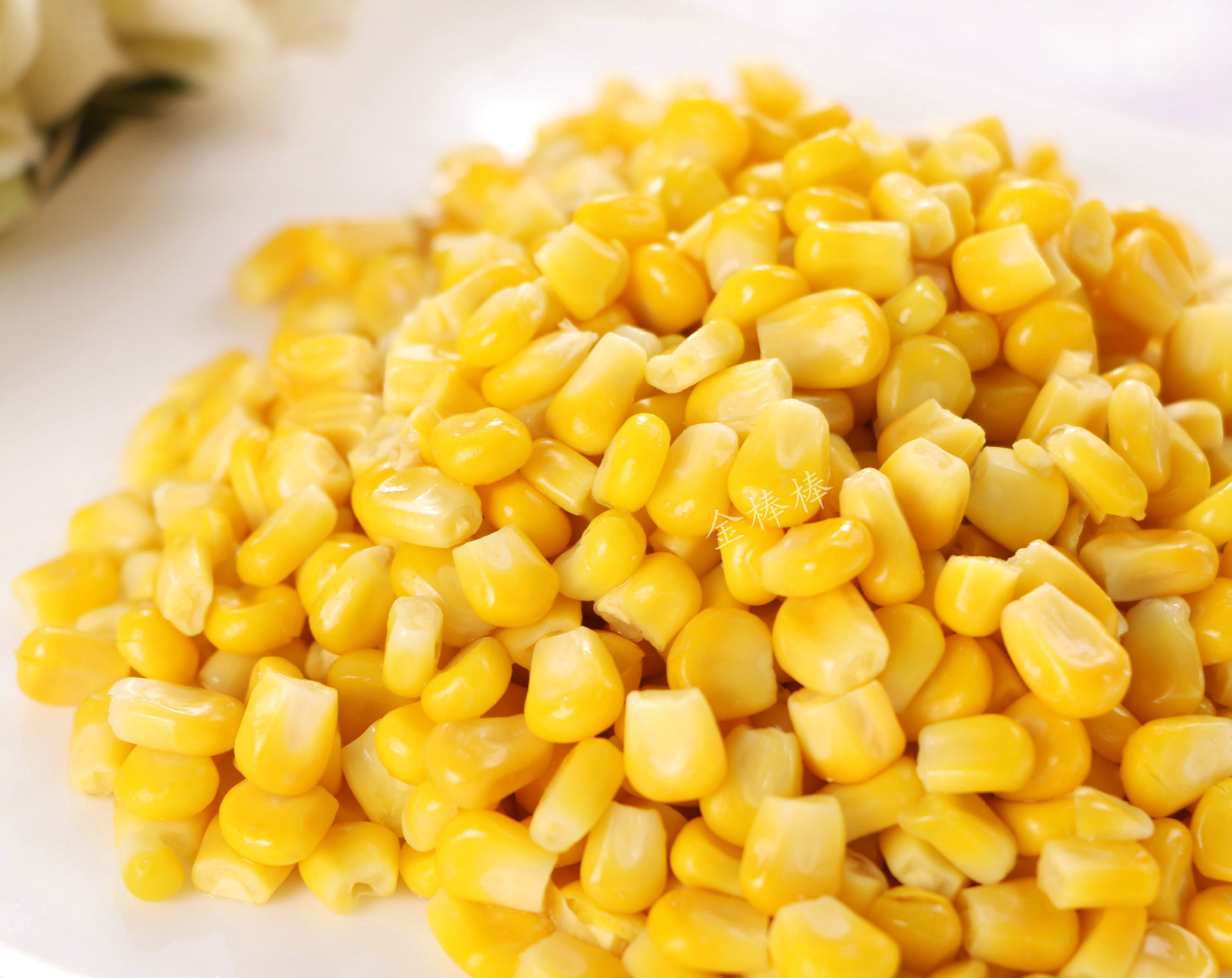厂家直销酒店甜玉米粒 真空榨汁甜玉米 绿色即食玉米粒 有机玉米