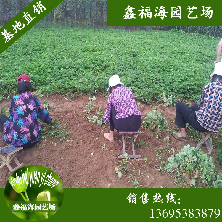 20140903_141652_副本