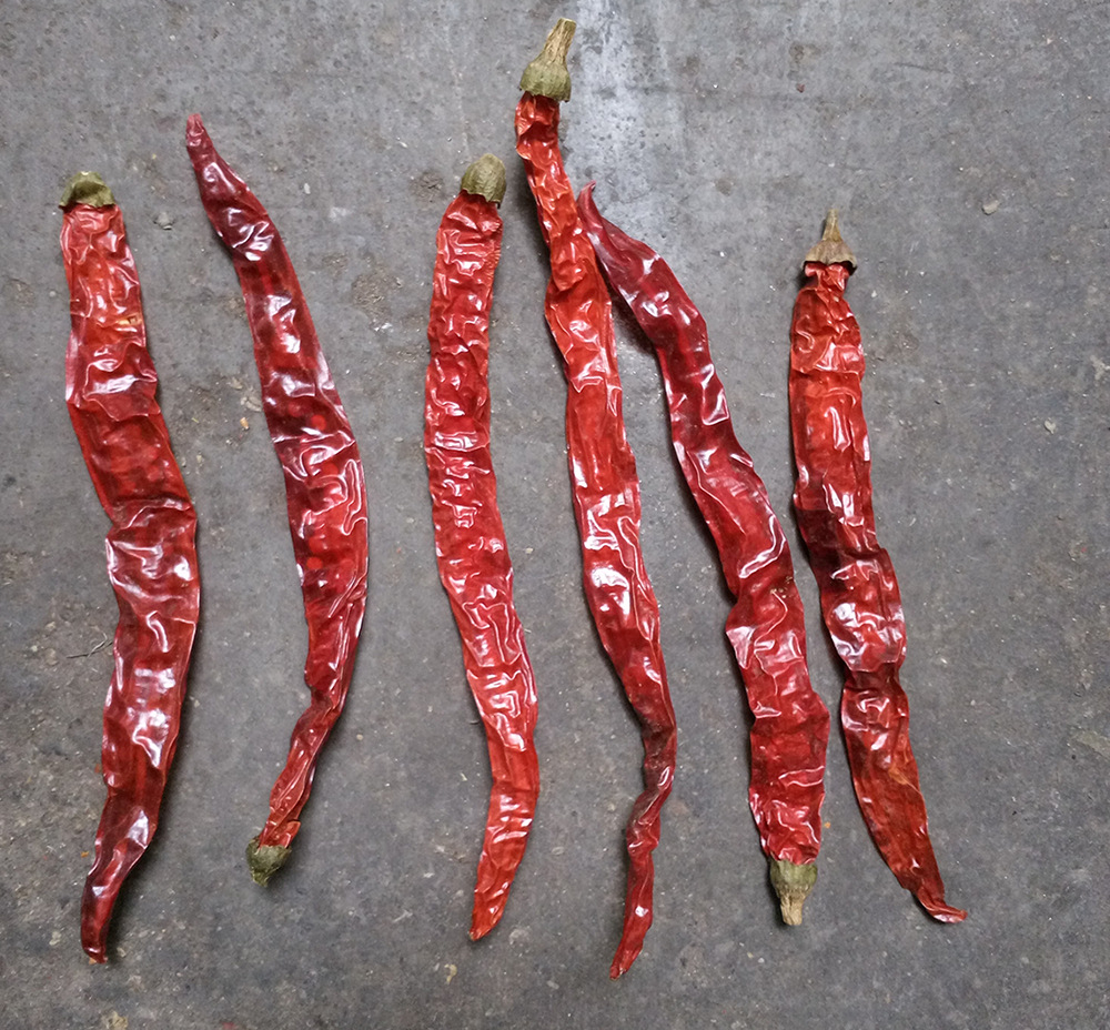 直销:贵州二荆条辣椒 特香中辣 油泼辣子 中餐火锅专用干海椒