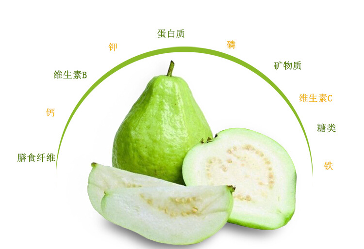 农家果园新鲜现摘现发芭乐 番石榴 5斤装孕妇番石榴一件代发 包邮