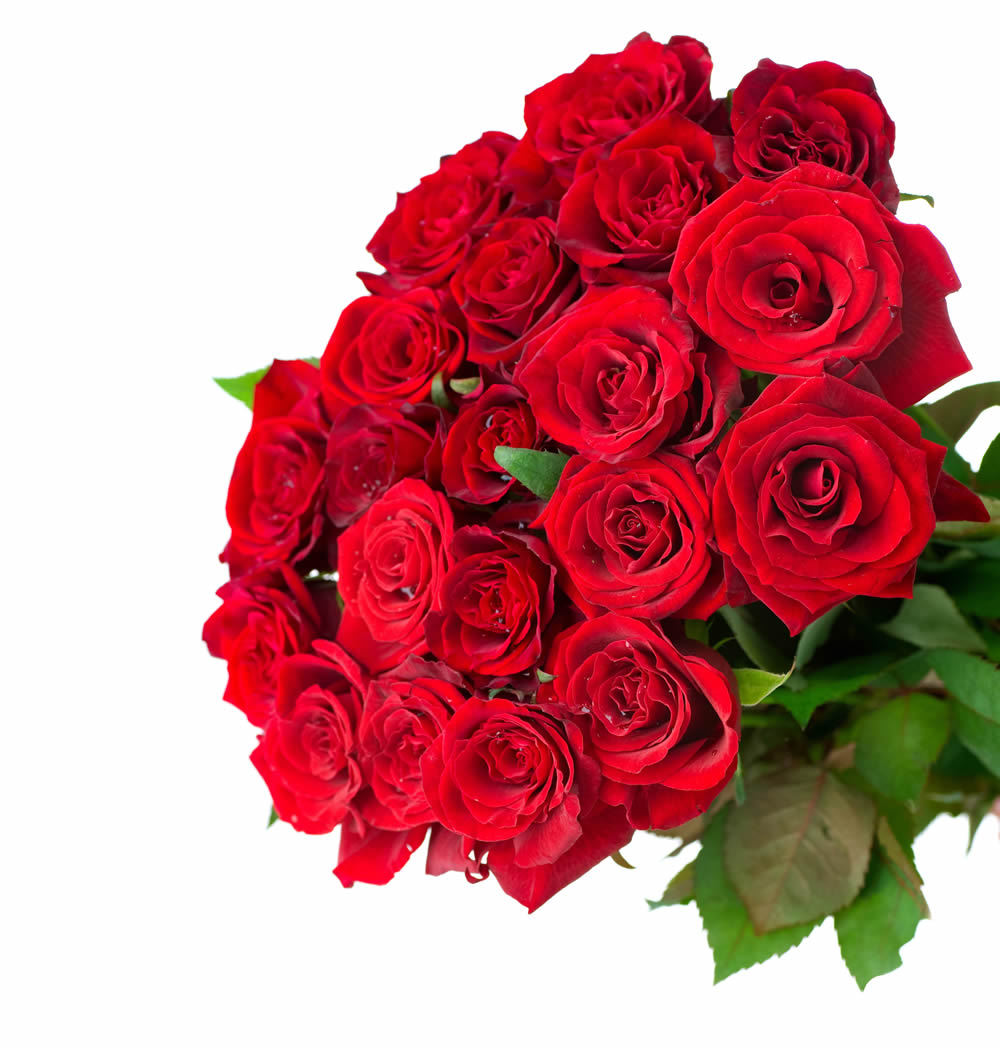 食用玫红色素 玫瑰红色素 玫色 粉色 食用着色剂 食品添加剂