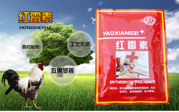 国药堂红霉素 治疗慢性呼吸道 葡萄球菌病 兽用西药 畜禽兽药批发