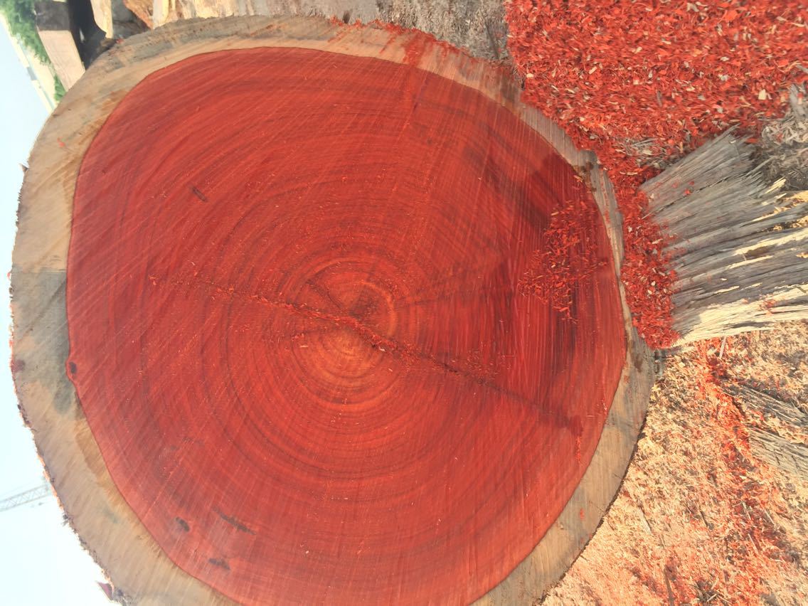 非洲花梨木_红花梨原木板材 用材红 非洲红花梨实木 - 阿里巴巴