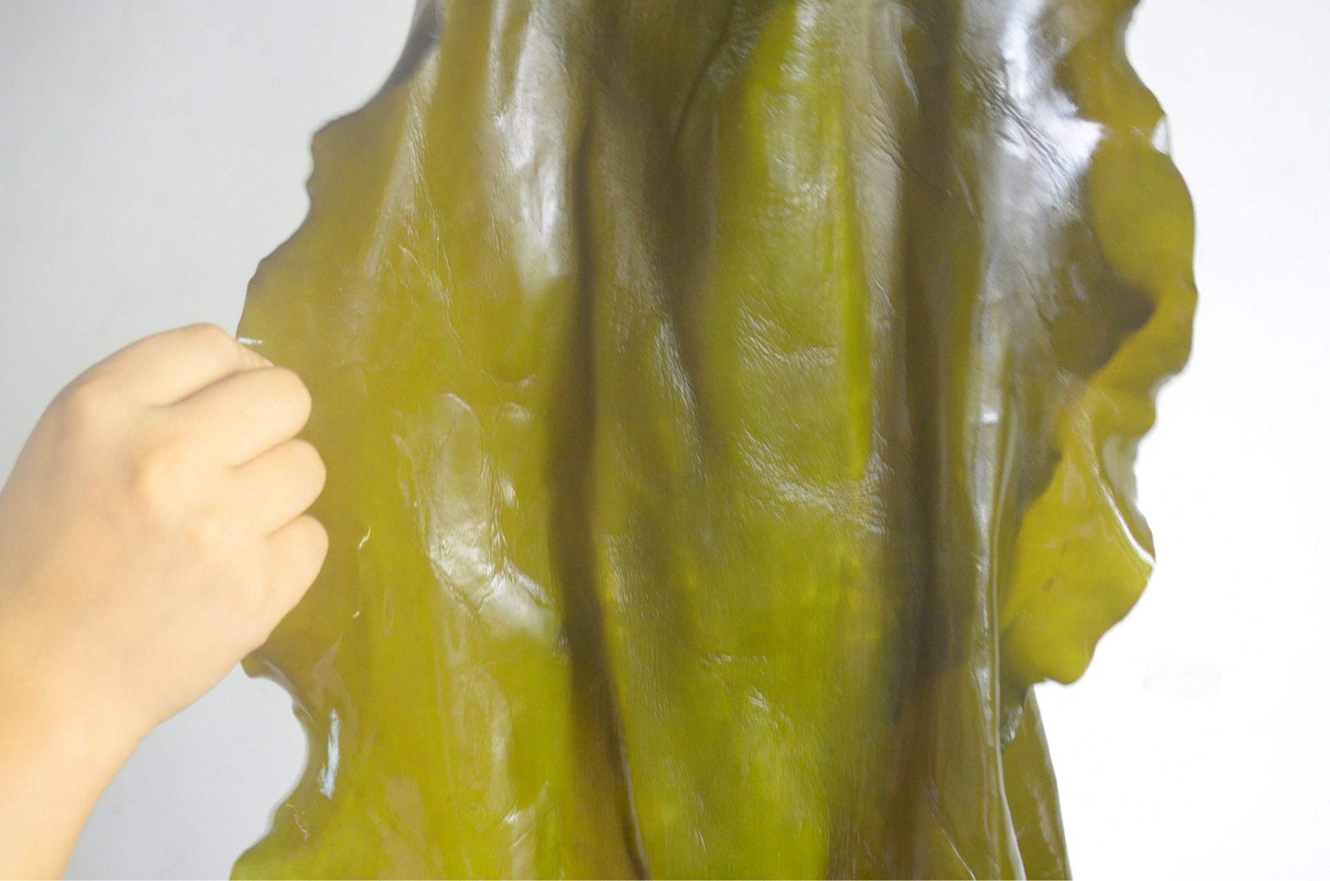 南海海带王 跑江湖地摊海带批发 山东海带