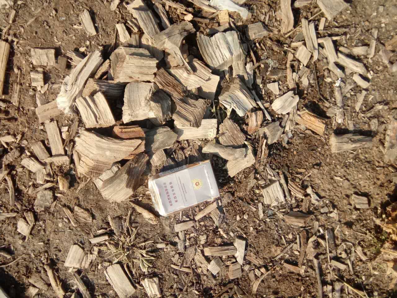 香菇种植用木屑颗粒,纯苹果木香菇用木屑,菌种料锯末