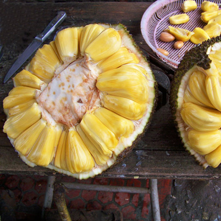 菠萝蜜_菠萝蜜供应商_菠萝蜜批发市场