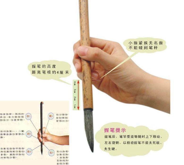 0cm   毛笔出锋1.6cm   毛笔口径:0.2cm中总长:21.7cm   毛笔出锋1.