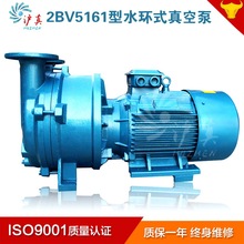 水环真空泵 2BV5161水环式不锈钢15KW真空泵 循环水真空泵